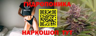 МДПВ Гудермес
