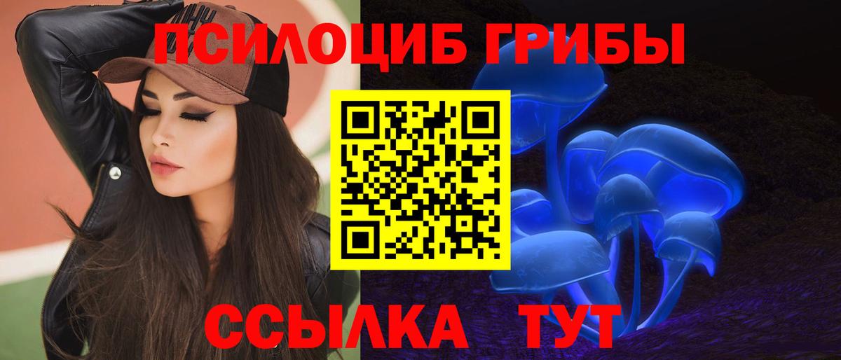 Псилоцибиновые грибы MAGIC MUSHROOMS  Вход с VPN  как найти   Великие Луки 